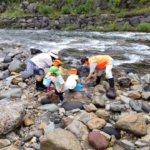 Thumbnail of post image 107