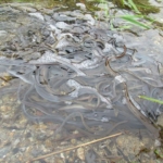 Thumbnail of post image 130