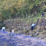 Thumbnail of post image 026