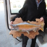 Thumbnail of post image 037