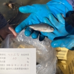 Thumbnail of post image 031