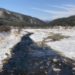 Thumbnail of post image 127