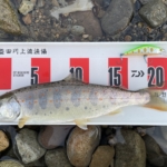 Thumbnail of post image 142