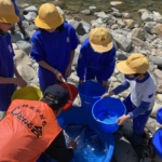 Thumbnail of post image 061