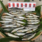 Thumbnail of post image 051