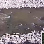 Thumbnail of post image 091