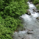 Thumbnail of post image 187