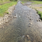 Thumbnail of post image 089