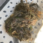 Thumbnail of post image 087