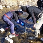 Thumbnail of post image 128