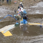 Thumbnail of post image 030