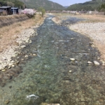 Thumbnail of post image 158