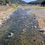 Thumbnail of post image 101