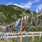 Thumbnail of post image 014