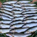 Thumbnail of post image 109