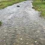 Thumbnail of post image 004