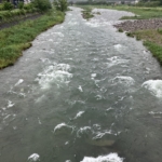 Thumbnail of post image 196