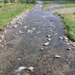 Thumbnail of post image 118