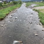 Thumbnail of post image 147