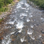 Thumbnail of post image 098