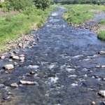 Thumbnail of post image 127