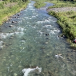 Thumbnail of post image 196