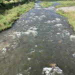 Thumbnail of post image 089