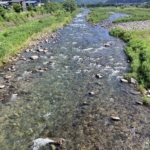 Thumbnail of post image 134