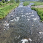 Thumbnail of post image 181