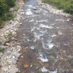 Thumbnail of post image 012