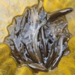 Thumbnail of post image 074