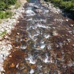 Thumbnail of post image 158