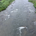 Thumbnail of post image 153
