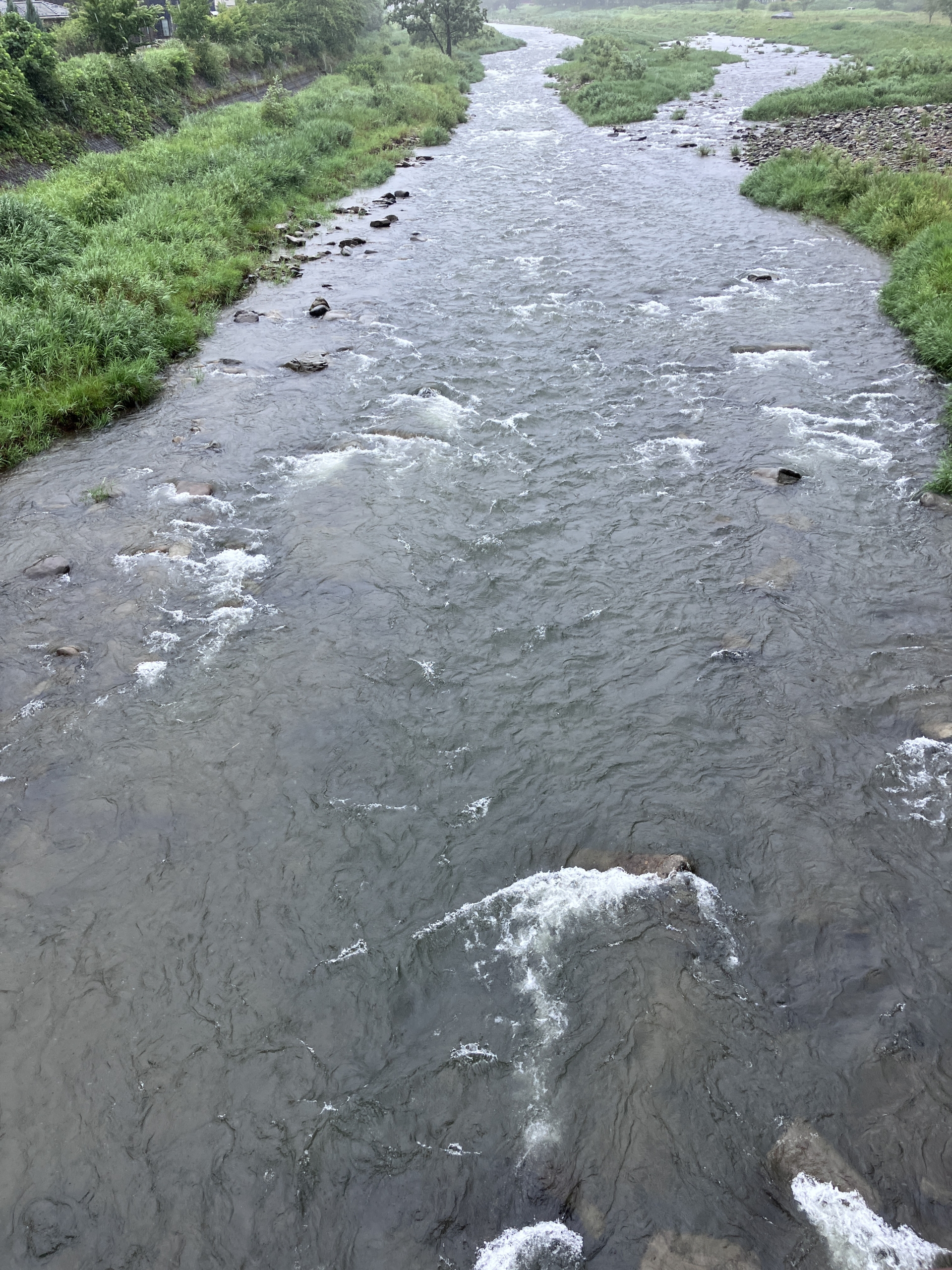 益田川上流漁業協同組合 | 2025.7.15 川の様子