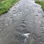 Thumbnail of post image 166