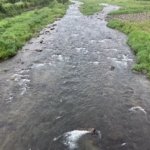 Thumbnail of post image 131