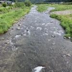 Thumbnail of post image 171