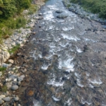Thumbnail of post image 135