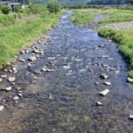 Thumbnail of post image 176