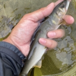 Thumbnail of post image 063